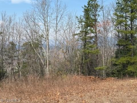 Tbd White Oak Road Purlear, NC 28665 - Photo 30 of 33