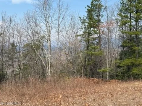 $329,900 | Tbd White Oak Road, Purlear, NC 28665