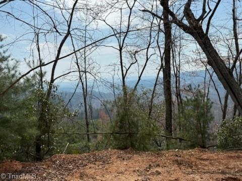 Tbd White Oak Road Purlear, NC 28665 - Photo 7 of 28