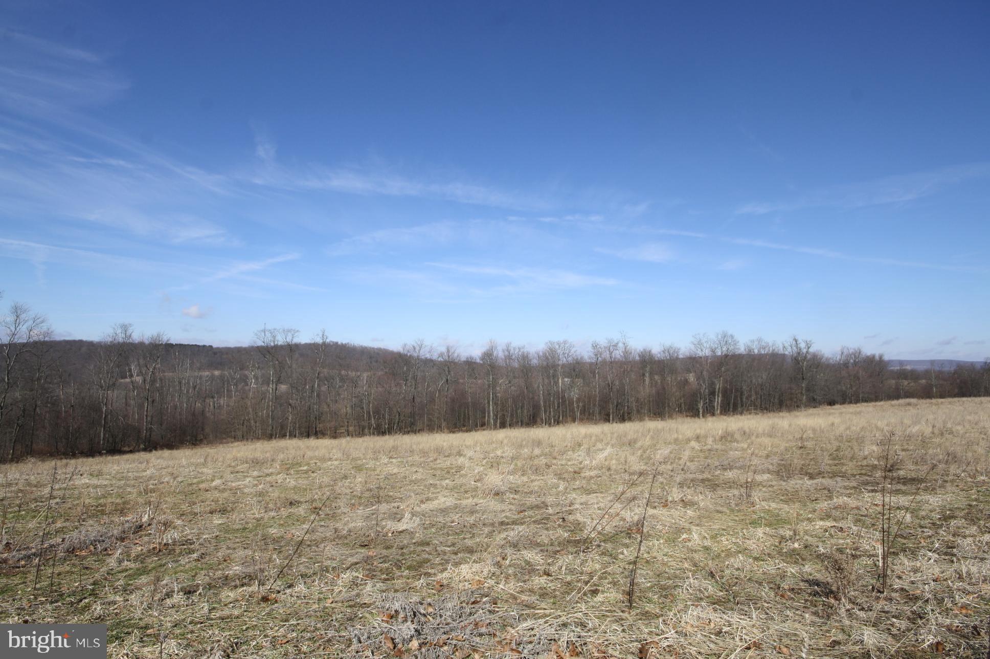 149 Devils Half Acre Road Grantsville, MD 21536 - Photo 30 of 44