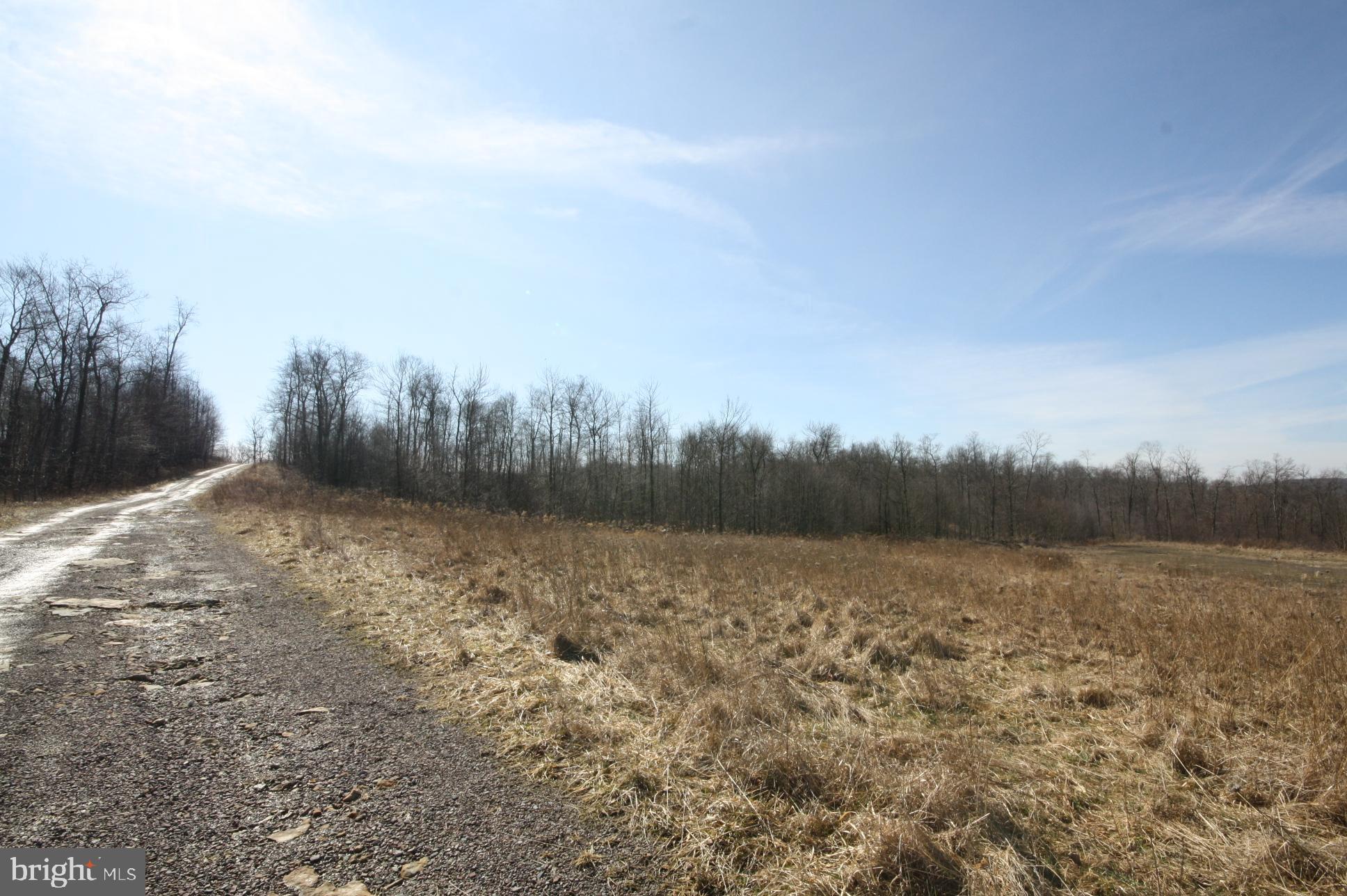 149 Devils Half Acre Road Grantsville, MD 21536 - Photo 4 of 44