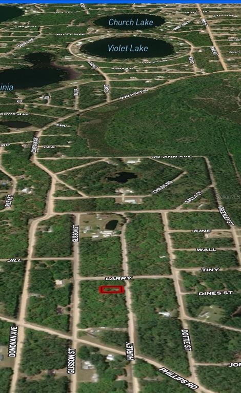 2 Hurley Street Interlachen, FL 32148 - Photo 2 of 4 a view of a green field