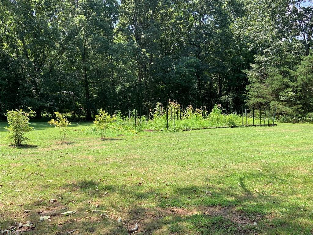 4920 Siloam Road Dobson, NC 27017 - Photo 45 of 49 Gallery Image 45