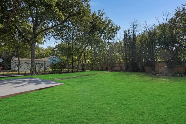 a view of a park with large trees