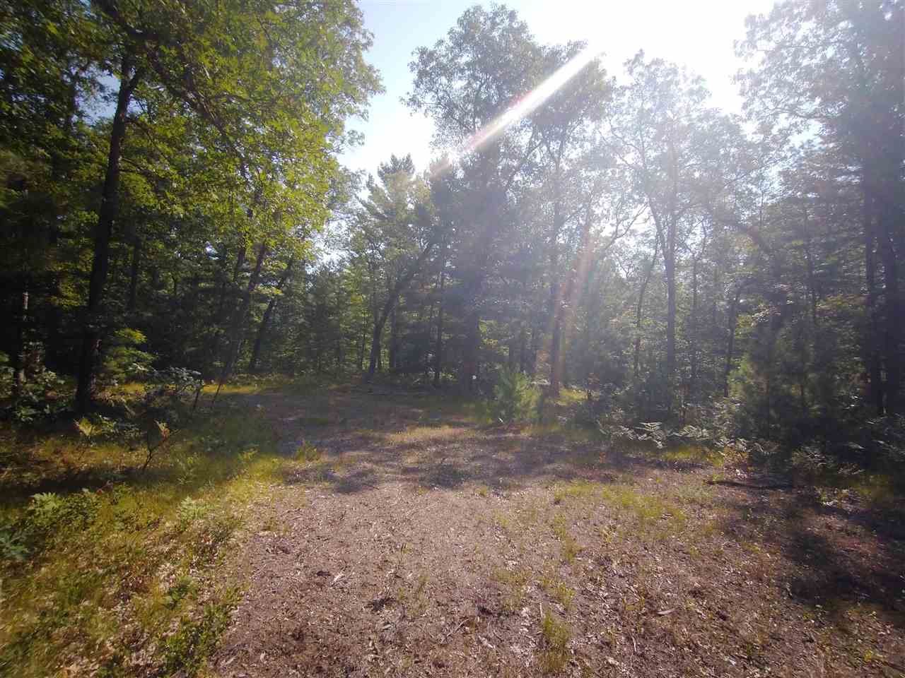 V/l Skocelas Road North Manistee, MI 49660 - Photo 8 of 12