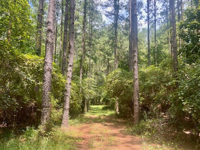 1162 B John Amacker Road Poplarville, MS 39470 - Photo 11 of 49 Photo 11