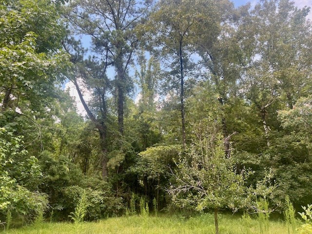1162 B John Amacker Road Poplarville, MS 39470 - Photo 16 of 49 Photo 16