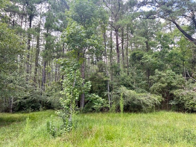 1162 B John Amacker Road Poplarville, MS 39470 - Photo 20 of 49 Photo 20