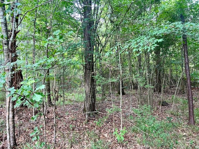 1162 B John Amacker Road Poplarville, MS 39470 - Photo 21 of 49 Photo 21