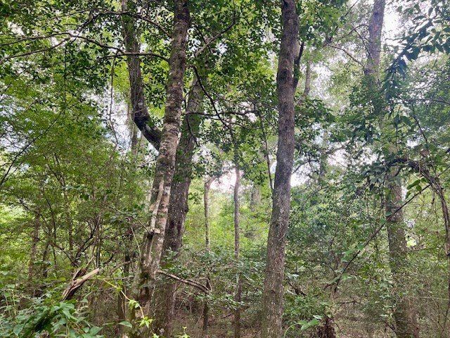1162 B John Amacker Road Poplarville, MS 39470 - Photo 23 of 49 Photo 23