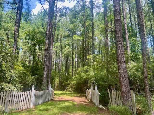 1162 B John Amacker Road Poplarville, MS 39470 - Photo 3 of 49 Photo 3