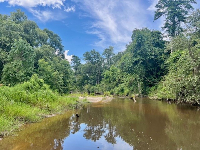 1162 B John Amacker Road Poplarville, MS 39470 - Photo 7 of 49 Photo 7