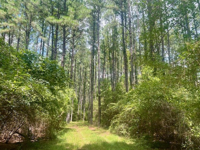 1162 B John Amacker Road Poplarville, MS 39470 - Photo 8 of 49 Photo 8