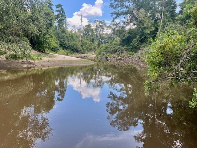 1162 B John Amacker Road Poplarville, MS 39470 - Photo 10 of 49 Photo 10