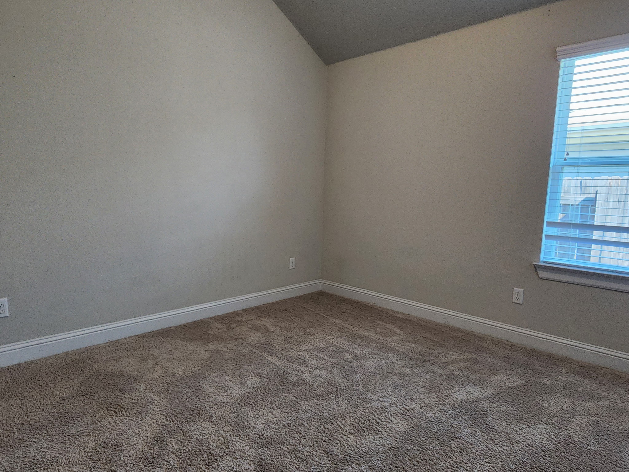 313 Gaida Loop Georgetown, TX 78628 - Photo 15 of 20 A well-lit bedroom offering a warm, inviting atmosphere with its plush carpeting.