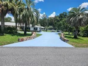 a view of a yard with palm trees