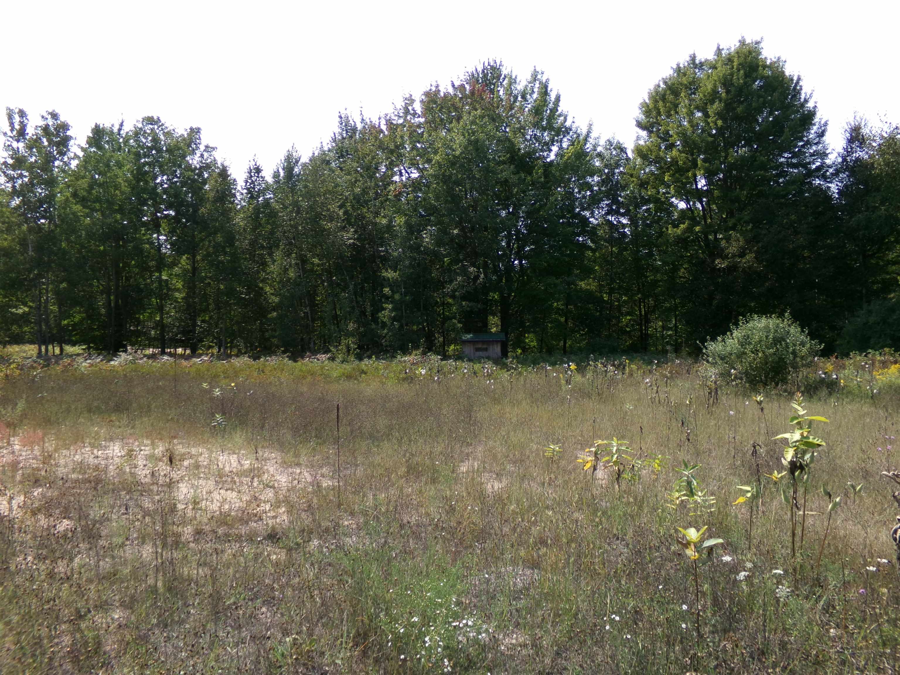 710-730 West Howard Road Beaverton, MI 48612 - Photo 32 of 82 1926814-FD486A88-E9E7-4B3B-995A-FFD15F066EA3.JPG