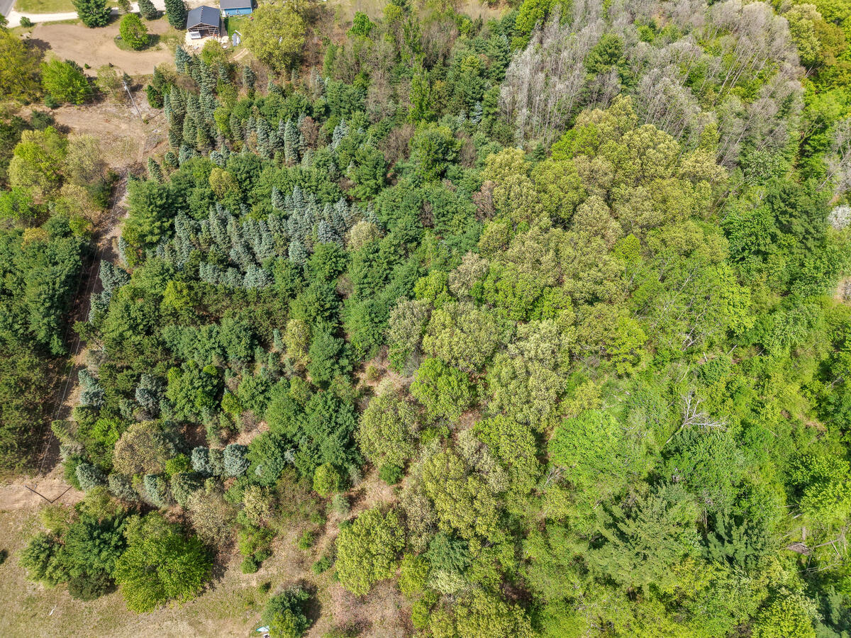 Parcel B West County Line Road Gowen, MI 49326 - Photo 15 of 15 15325-Montcalm_212