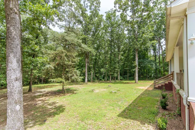 a view of a park with large trees