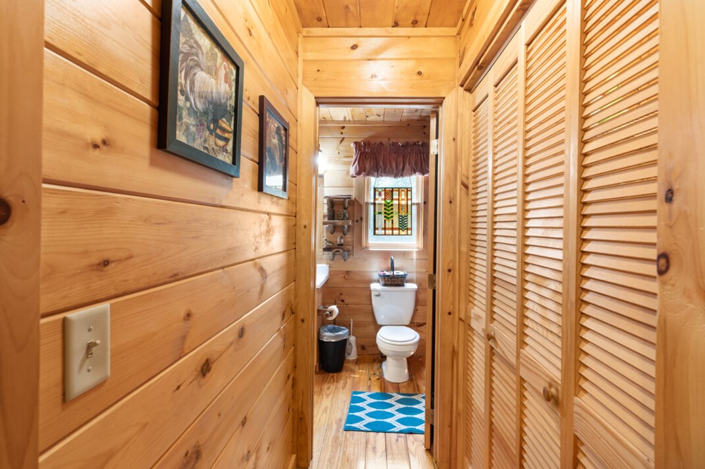 166 Lake Ridge Drive Blue Ridge, GA 30513 - Photo 22 of 45 Gallery Image 22