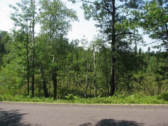 Lot 44 Doolittle Road Minocqua, WI 54548 - Photo 6 of 20 Gallery Image 6