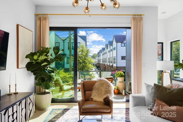 a room with furniture and a potted plant