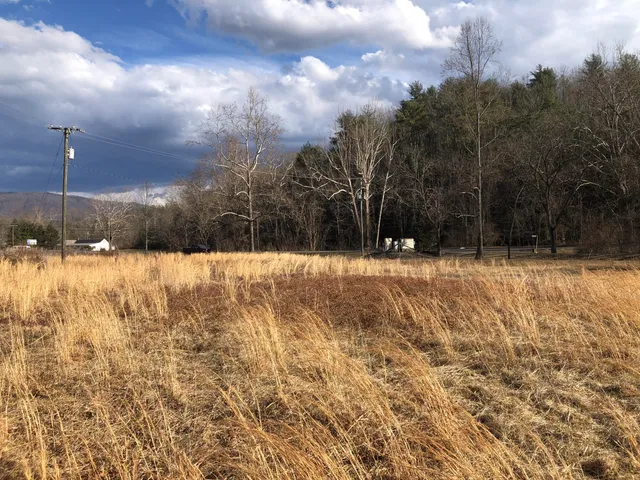 $78,900 | 0 Bennington Lane, Clifton Forge, VA 24422