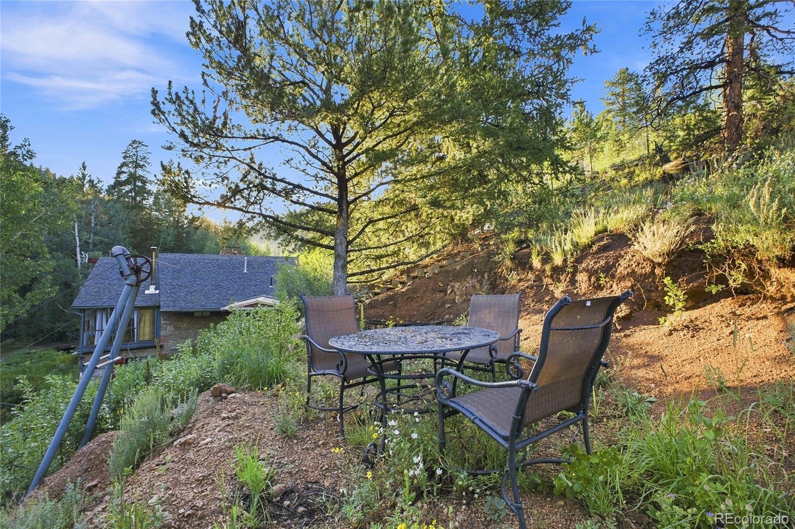 222 Rd P60 Bailey, CO 80421 - Photo 31 of 40 Gallery Image 31