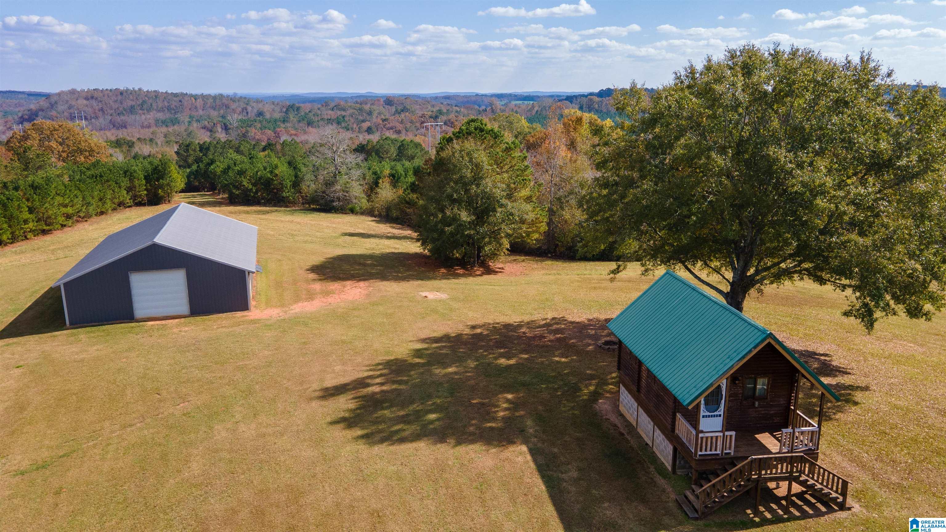 0 White Plains Road Munford, AL 36268 - Photo 8 of 17