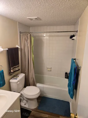 a bathroom with a toilet and a bathtub