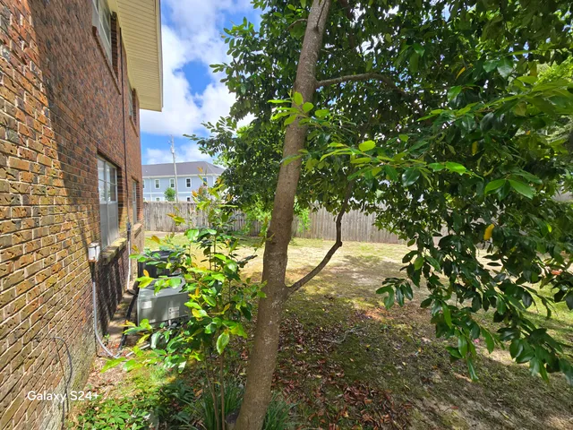 a view of a tree in a yard