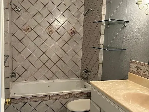 a bathroom with a sink and a toilet