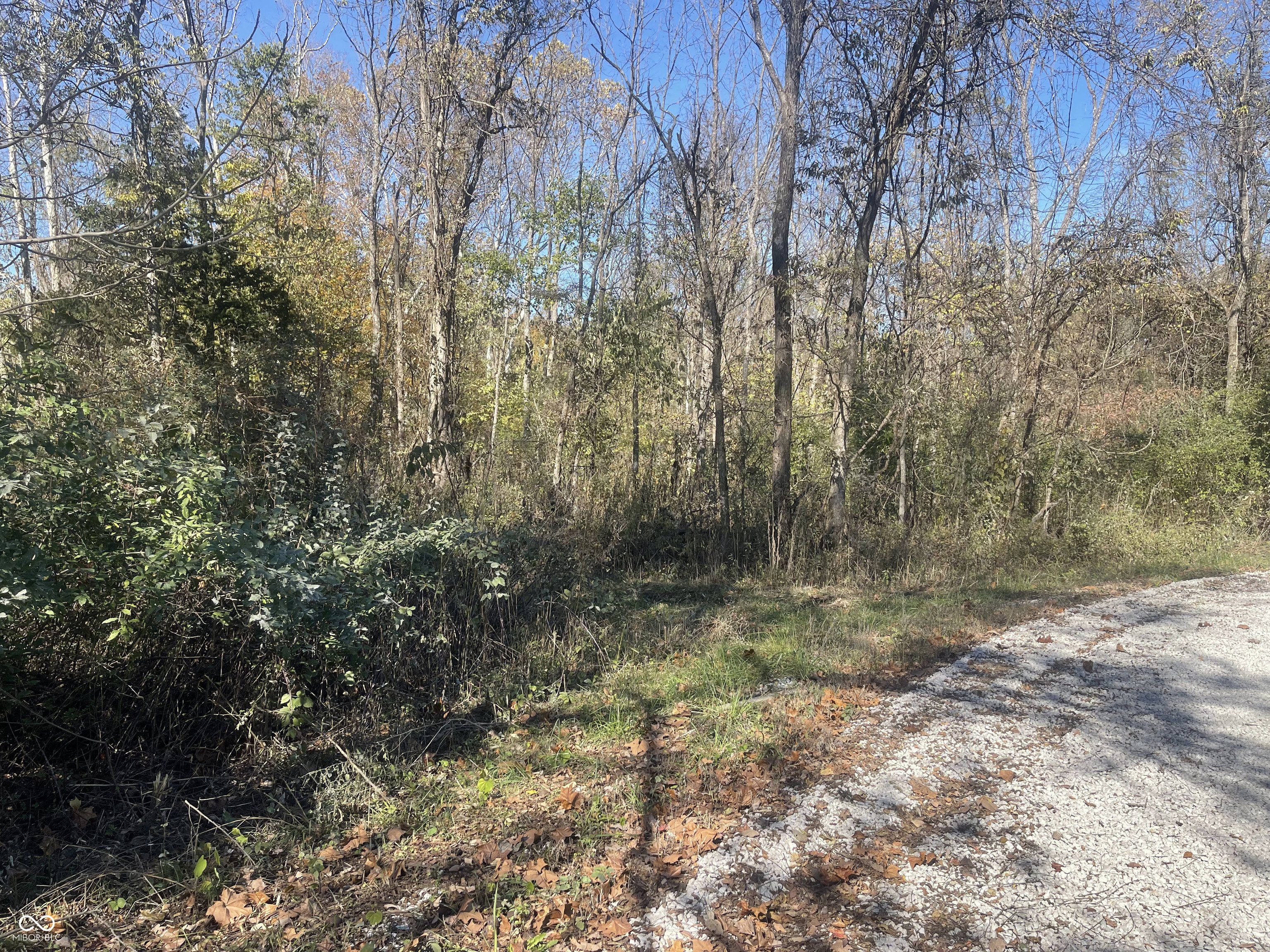 0 North Newark Road Solsberry, IN 47459 - Photo 2 of 8