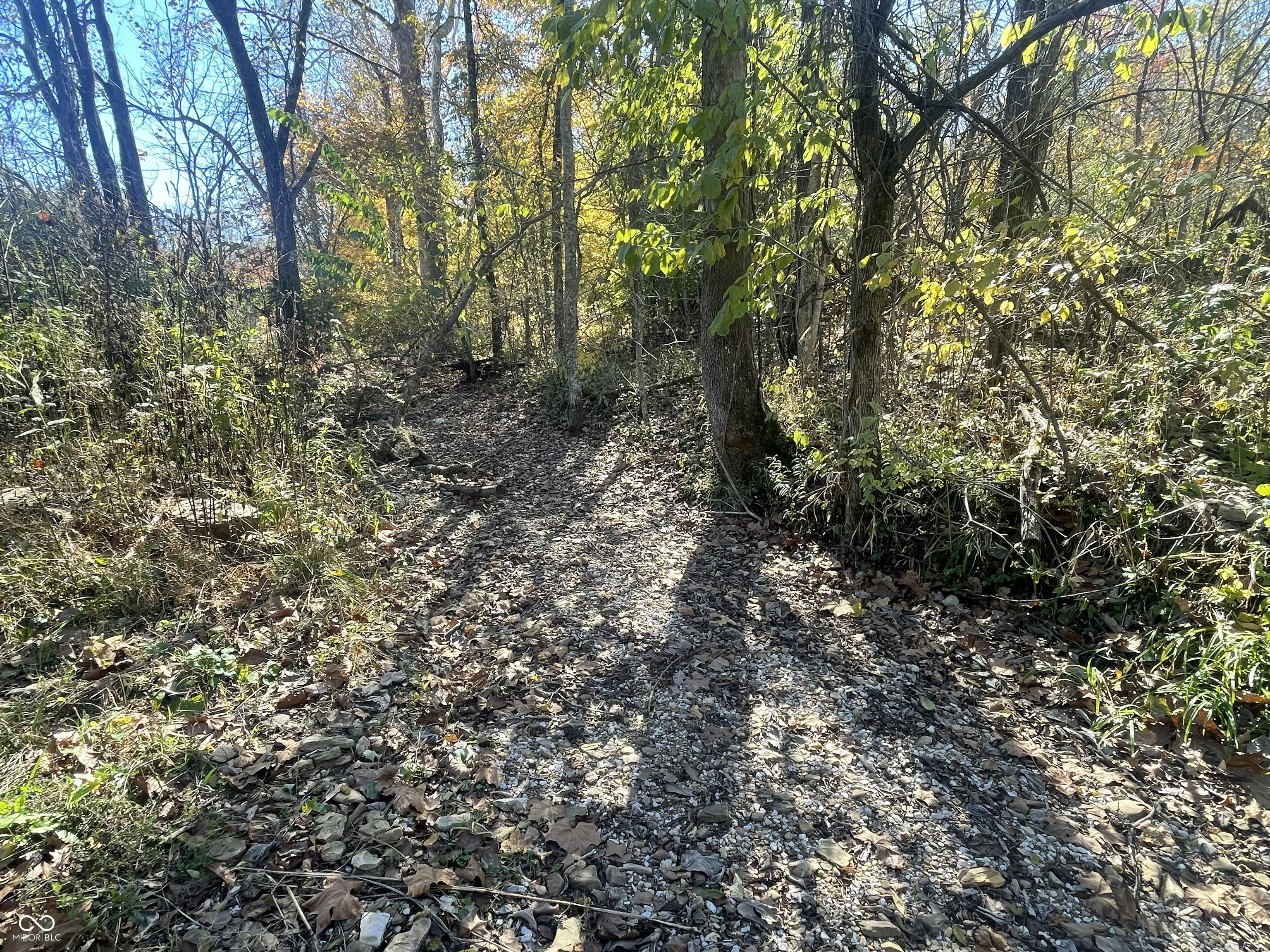 0 North Newark Road Solsberry, IN 47459 - Photo 4 of 8