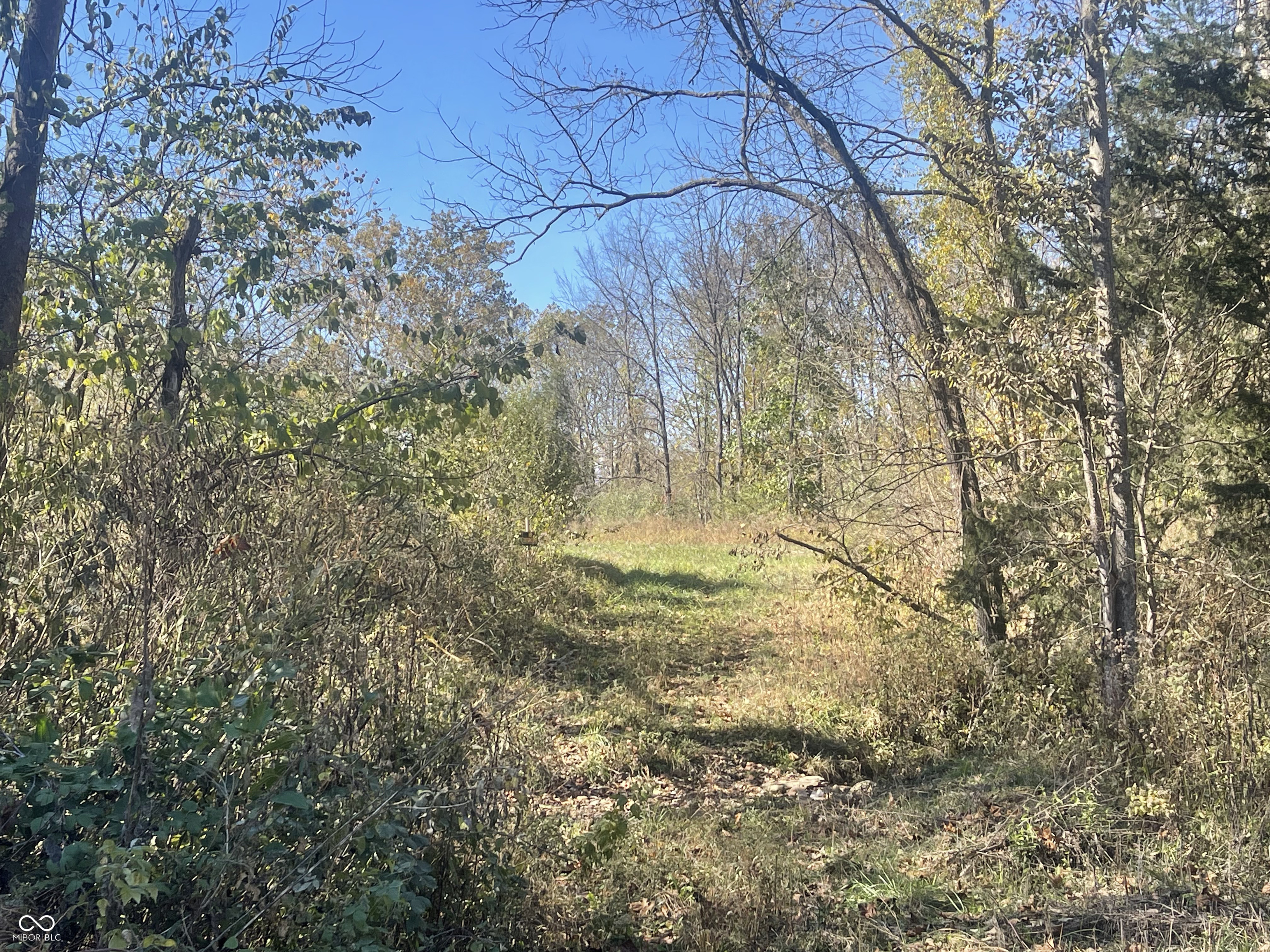 0 North Newark Road Solsberry, IN 47459 - Photo 5 of 8