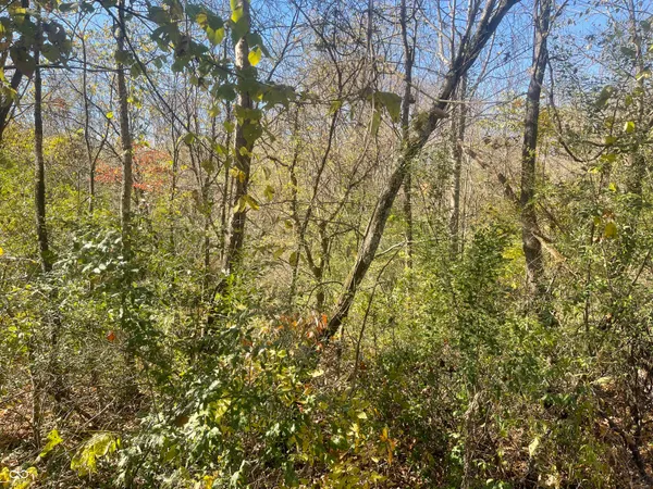 $51,600 | 0 North Newark Road, Solsberry, IN 47459