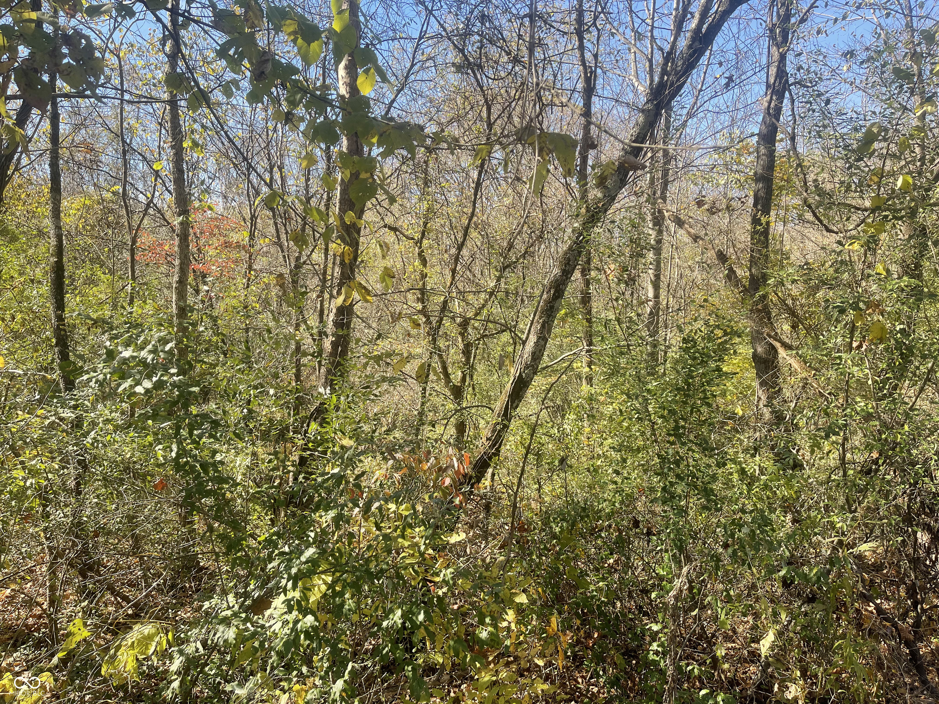 0 North Newark Road Solsberry, IN 47459 - Photo 8 of 8