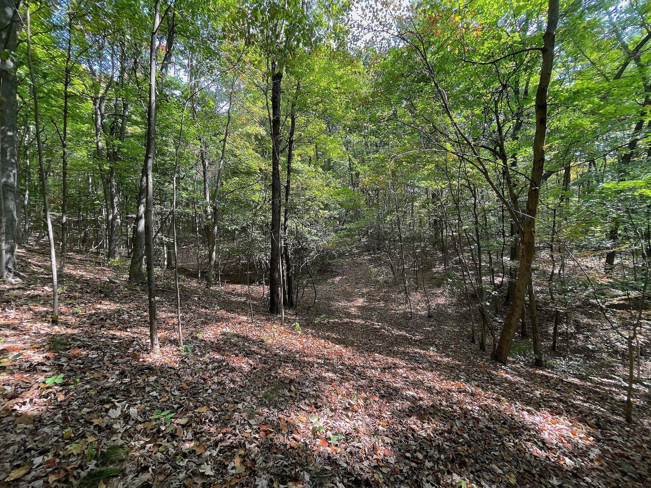 0 Porter Run Road Frankfort, OH 45628 - Photo 27 of 51 IMG_3243