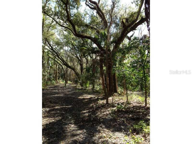 West End Of Welcome Road Lithia, FL 33547 - Photo 1 of 1 View