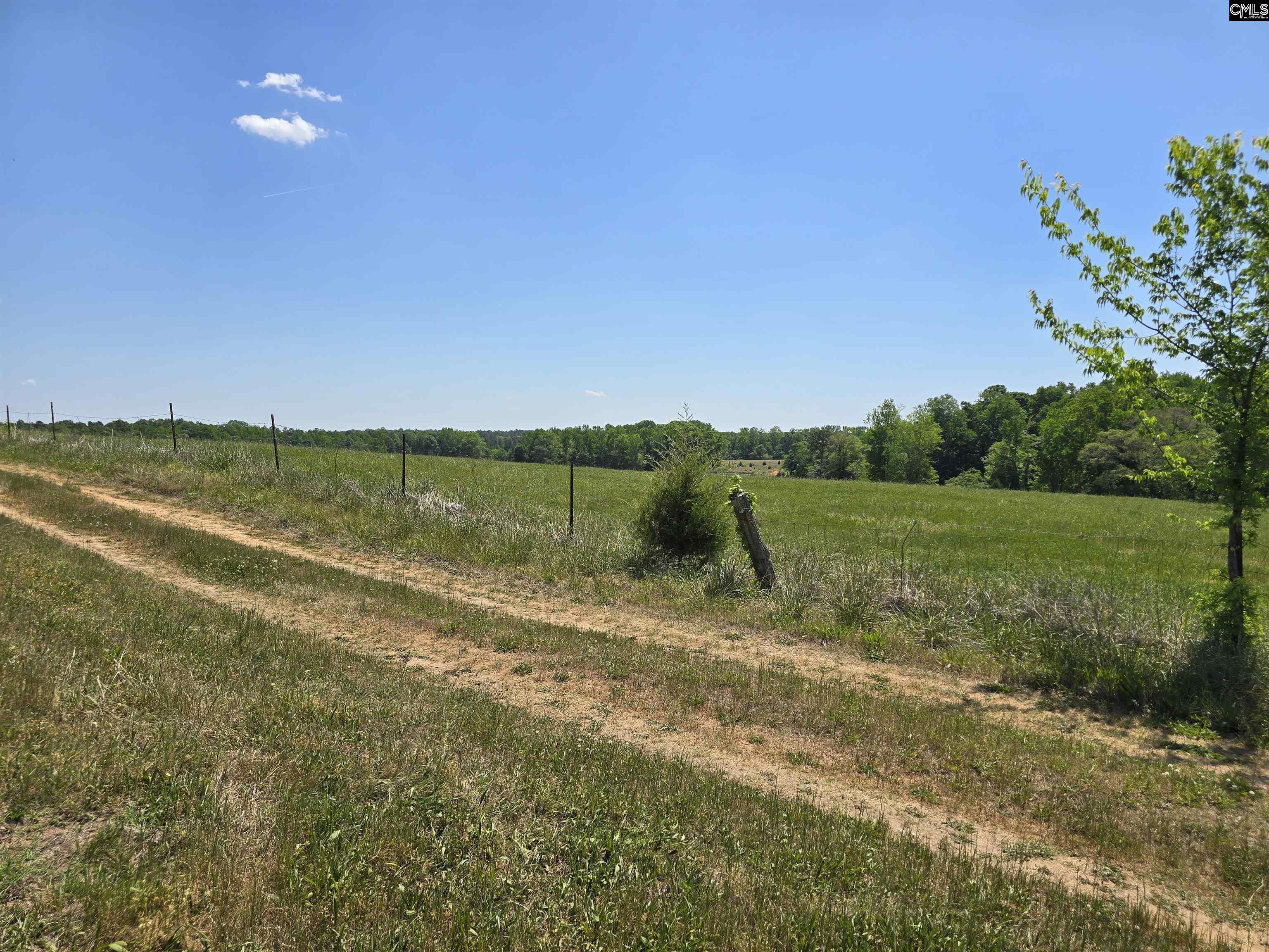 542 Pea Ridge Highway Jonesville, SC 29353 - Photo 23 of 72