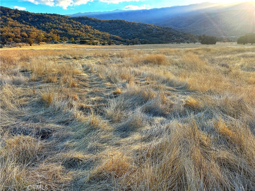 a view of an ocean beach