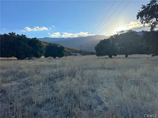 a view of a big yard