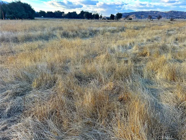 a view of lake with mountain and trees around