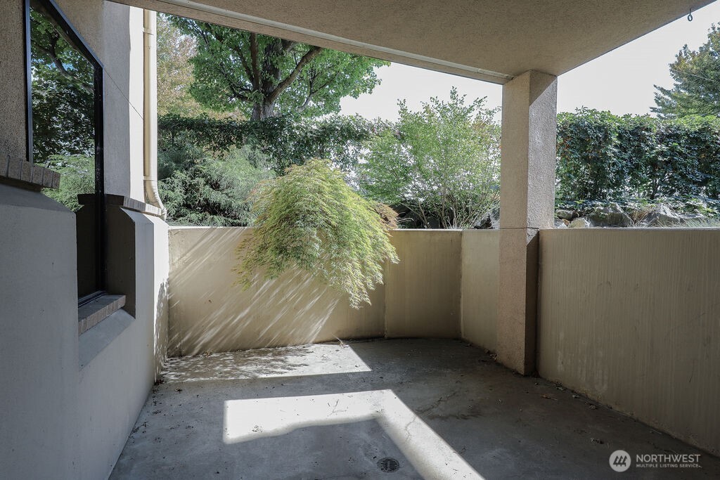 151 South Worthen Street, Unit 1 Wenatchee, WA 98801 - Photo 11 of 27 a view of potted plant in front of a window