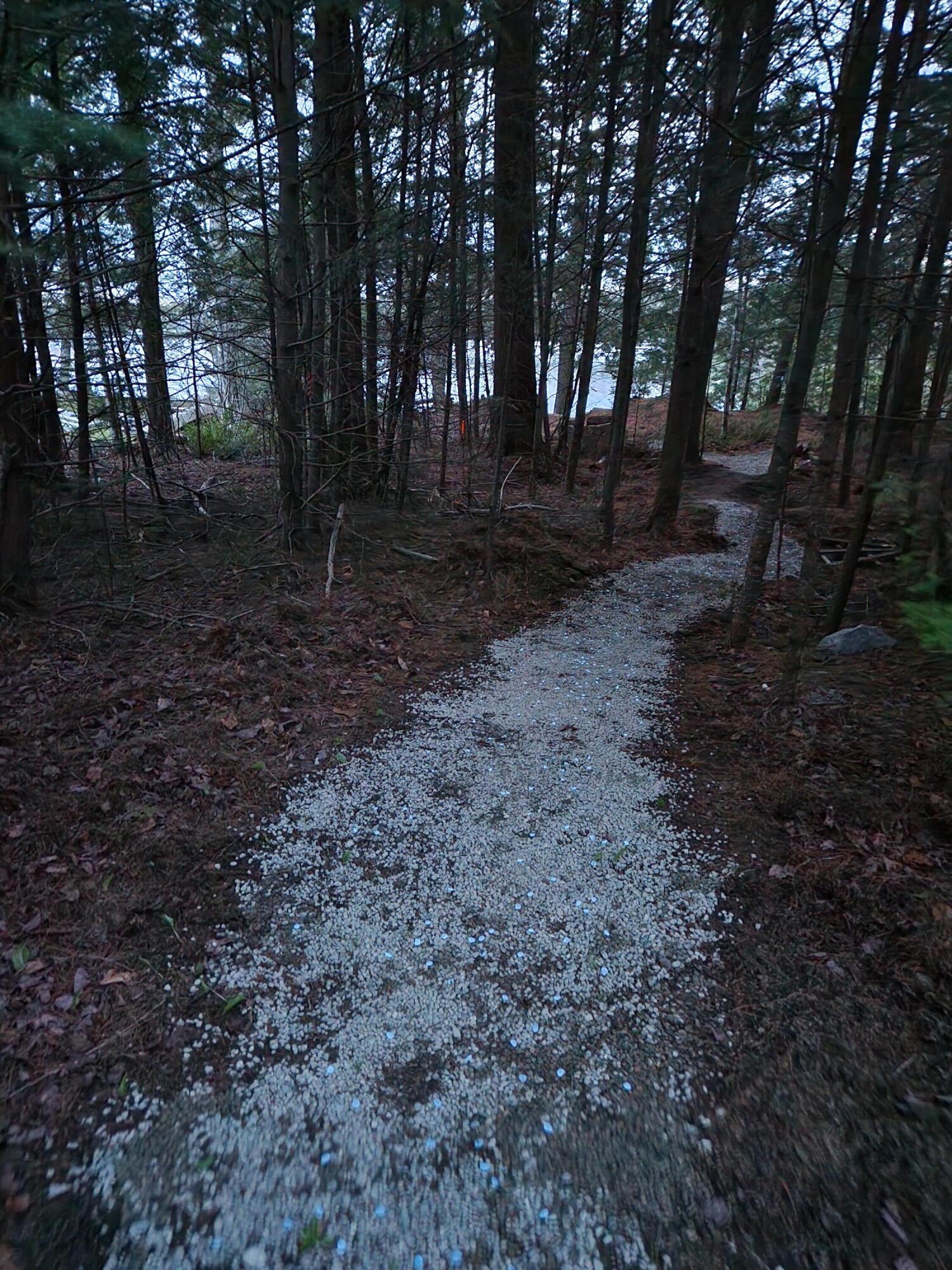 40 Moosepath Lane Searsport, ME 04974 - Photo 34 of 40 20240511_201558