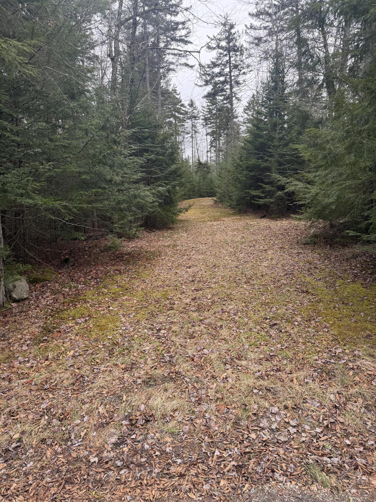 40 Moosepath Lane Searsport, ME 04974 - Photo 38 of 40 IMG_5053