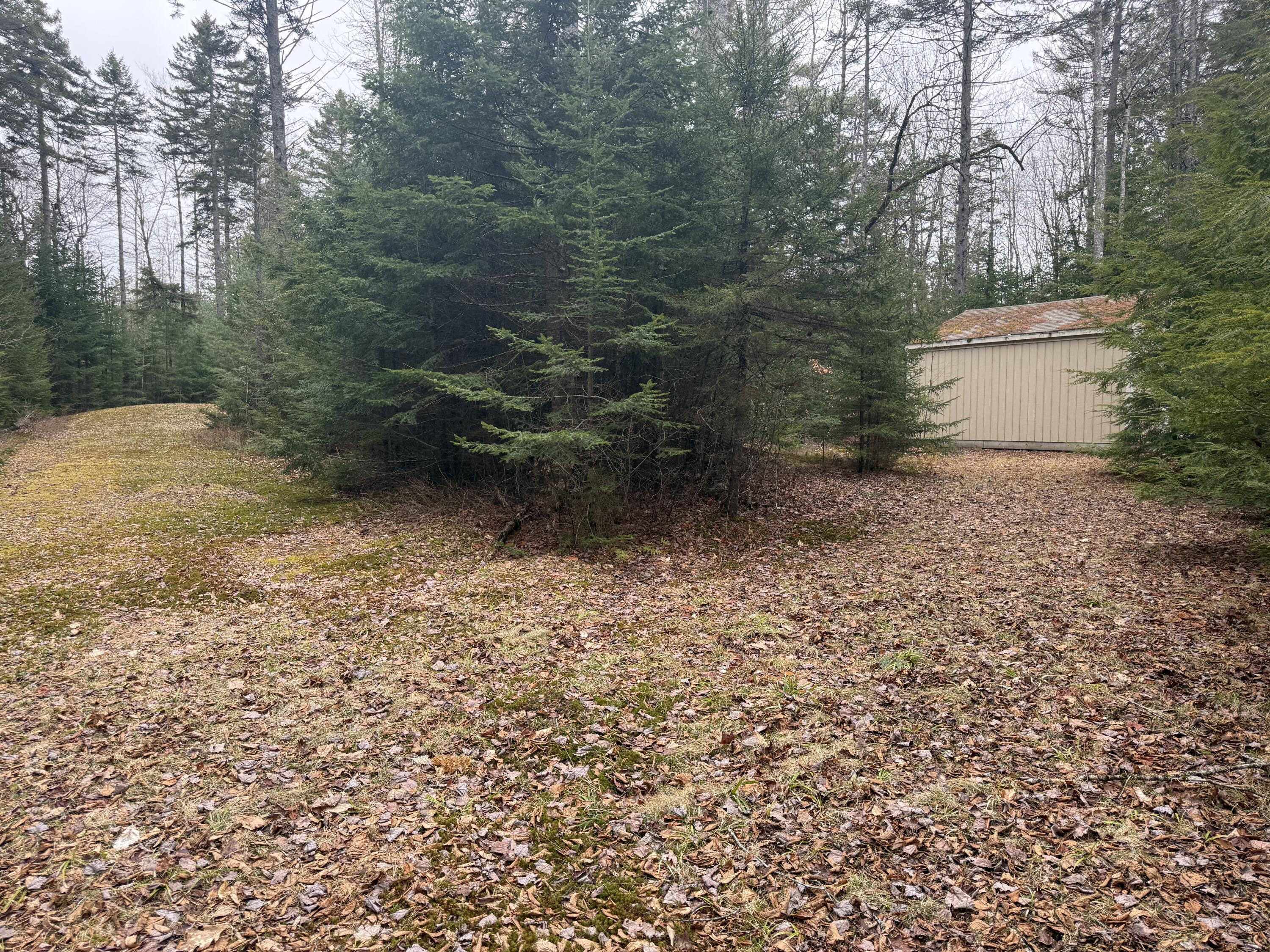 40 Moosepath Lane Searsport, ME 04974 - Photo 40 of 40 IMG_5058
