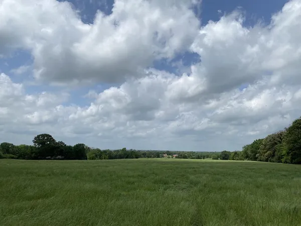 $995,000 | 3402 I-20 Street North, Van, TX 75790