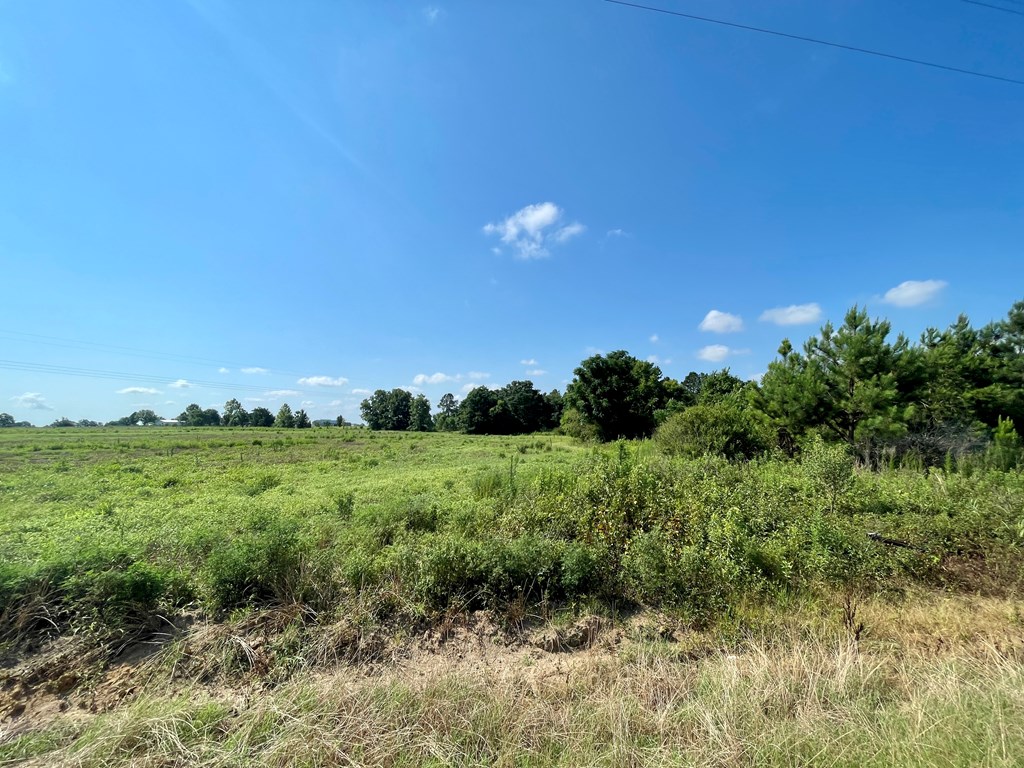 0 Gilley Mill Road Webb, AL 36376 - Photo 3 of 14