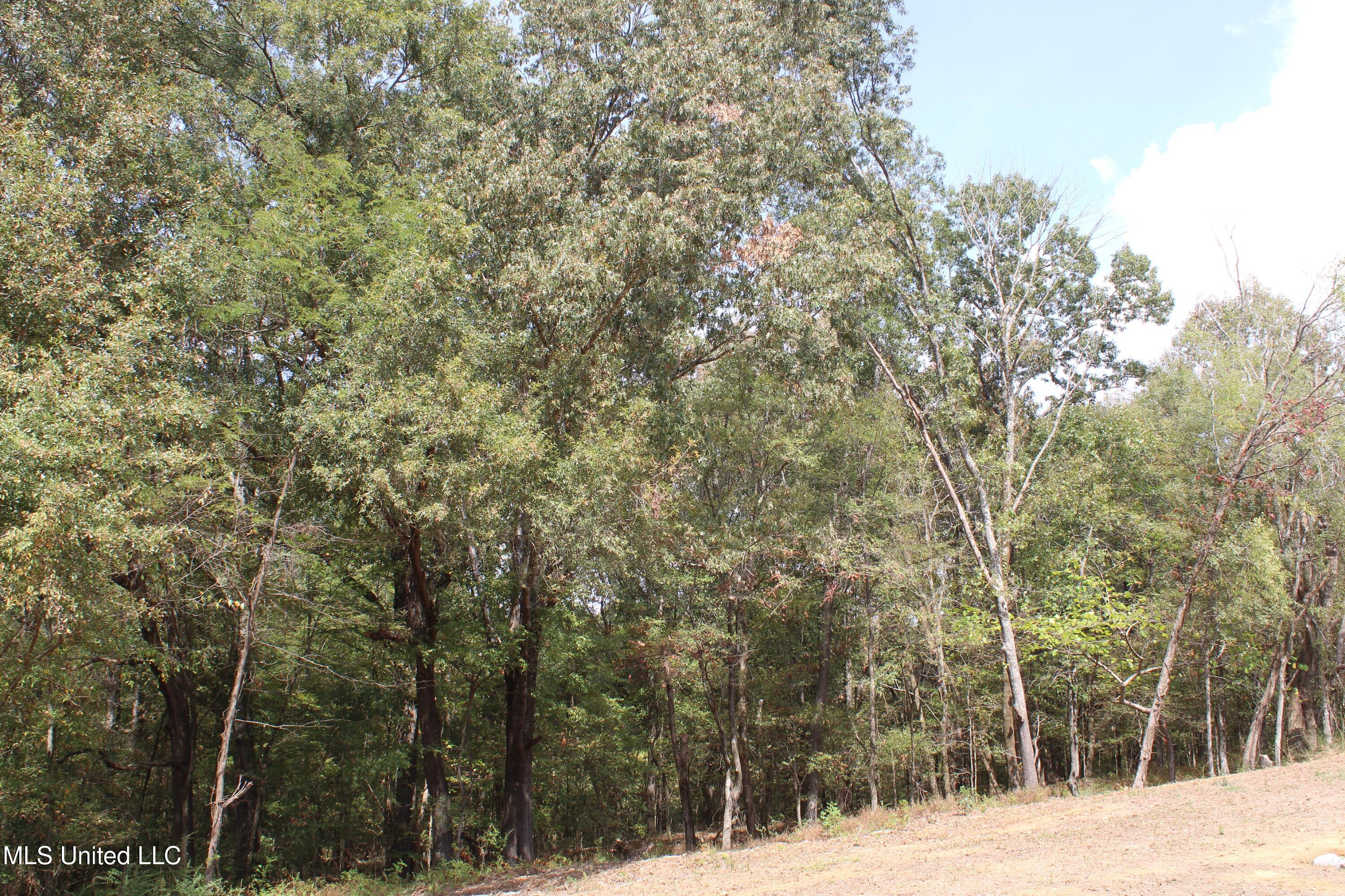 21 Hickory Hollow Road Coldwater, MS 38618 - Photo 30 of 70 IMG_6590
